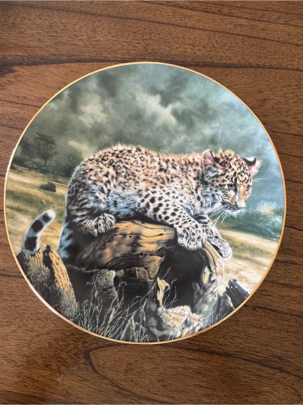 Charles Fracé “Quiet Morning” Collector Plate